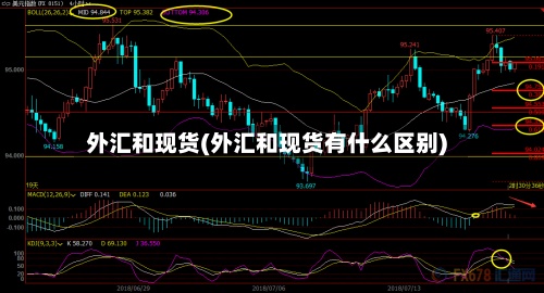 外汇和现货(外汇和现货有什么区别)