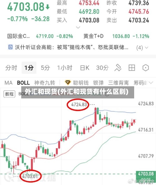 外汇和现货(外汇和现货有什么区别)-第2张图片