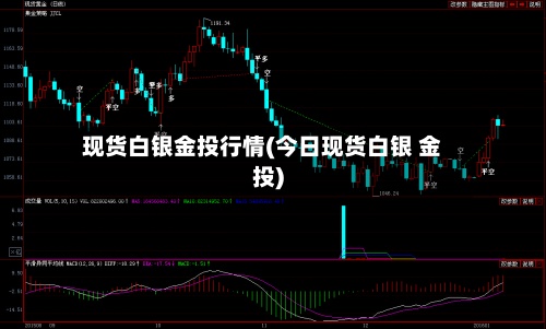 现货白银金投行情(今日现货白银 金投)-第3张图片