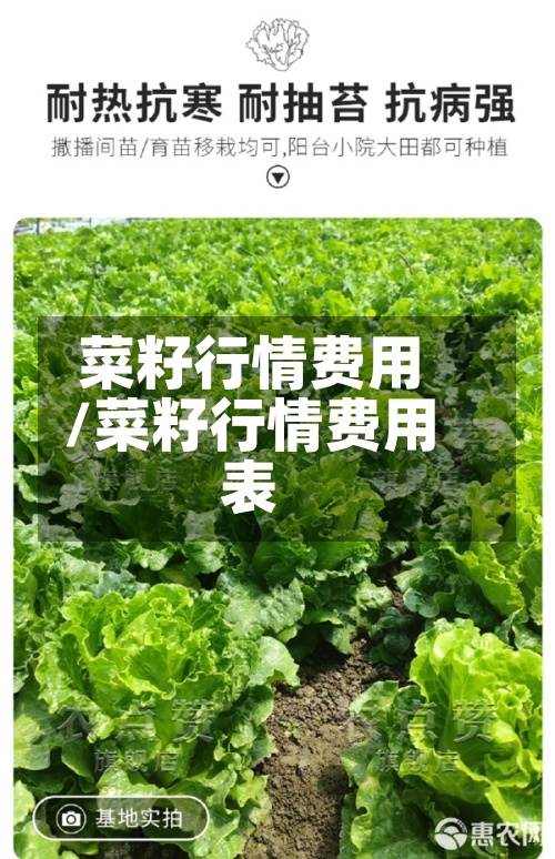 菜籽行情费用/菜籽行情费用表-第2张图片