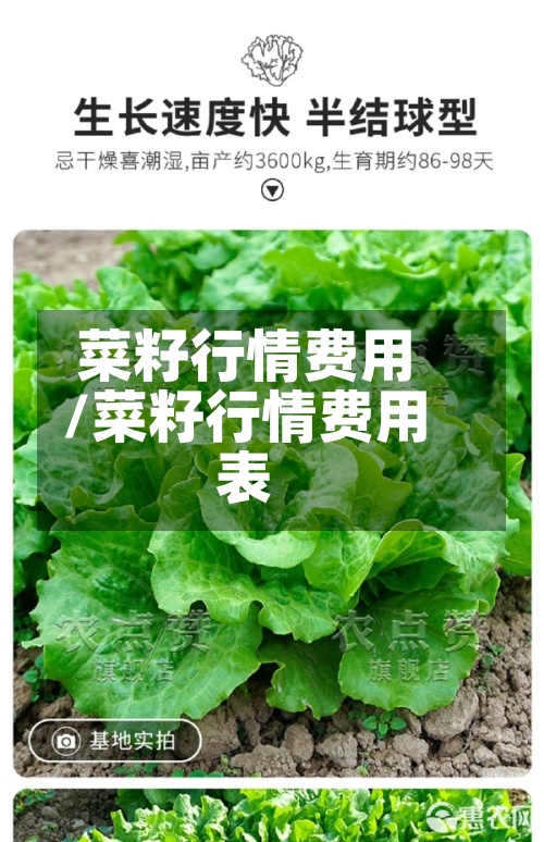 菜籽行情费用
/菜籽行情费用
表