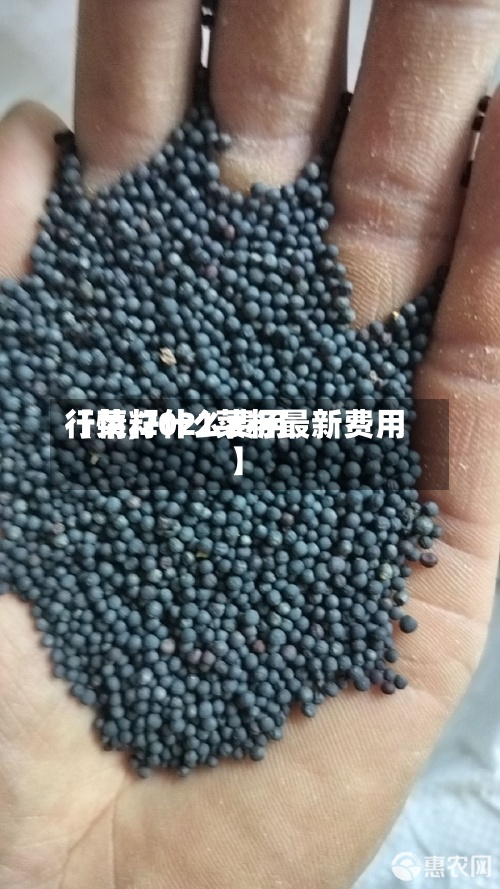 【菜籽什么费用
行情,2021菜籽最新费用
】