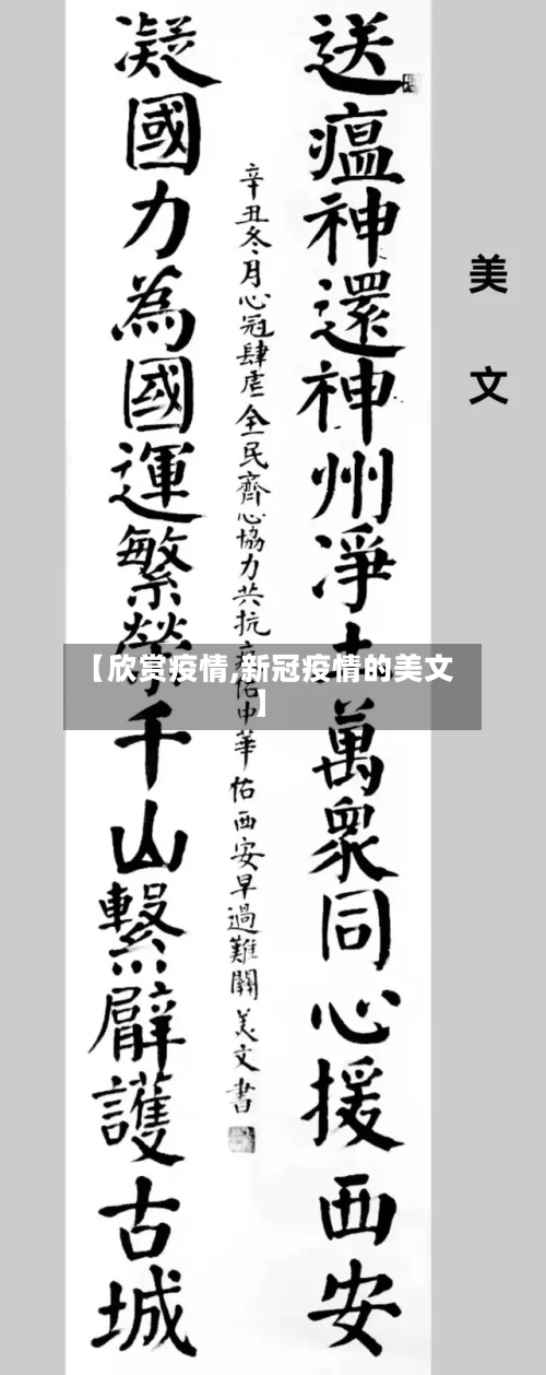 【欣赏疫情,新冠疫情的美文】