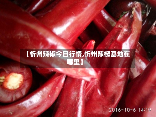 【忻州辣椒今日行情,忻州辣椒基地在哪里】
