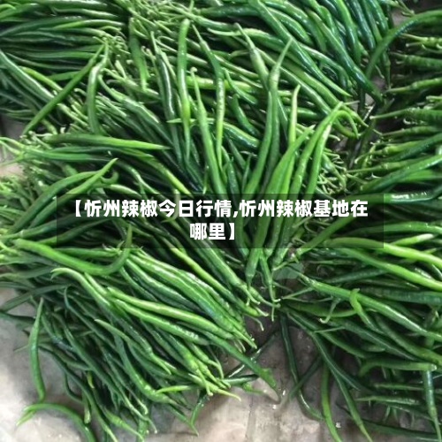 【忻州辣椒今日行情,忻州辣椒基地在哪里】-第2张图片