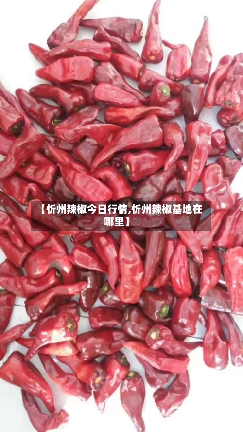 【忻州辣椒今日行情,忻州辣椒基地在哪里】-第3张图片