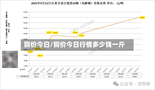 铜价今日/铜价今日行情多少钱一斤