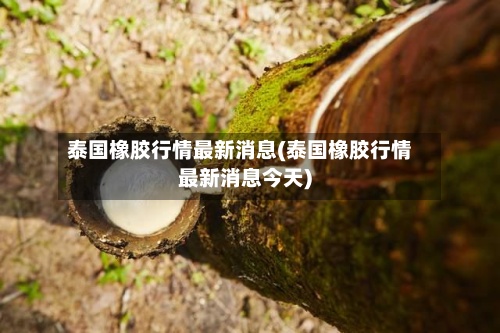 泰国橡胶行情最新消息(泰国橡胶行情最新消息今天)-第2张图片