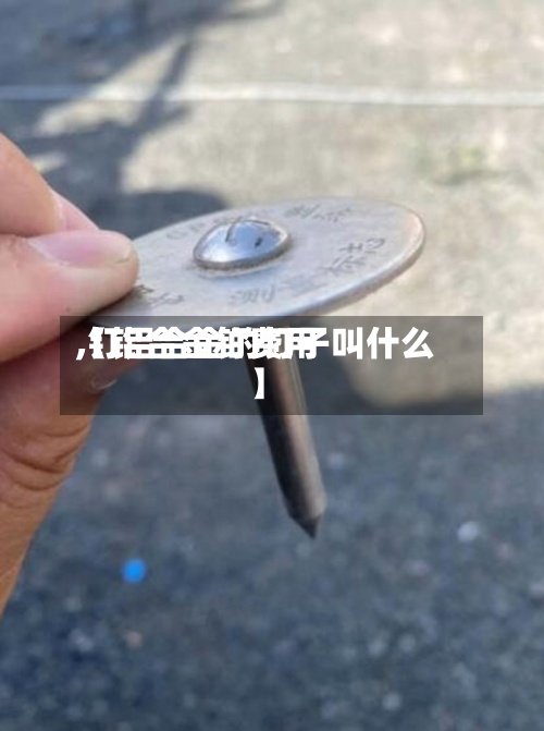 【铝合金钉费用
,钉铝合金的钉子叫什么】-第2张图片
