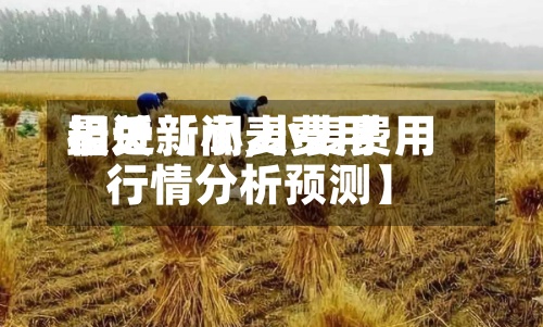 最近【小麦费用
相关新闻,小麦费用
行情分析预测】