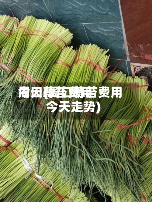周口蒜苔费用
今天(周口蒜苔费用
今天走势)-第3张图片