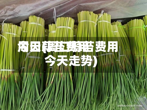 周口蒜苔费用
今天(周口蒜苔费用
今天走势)-第2张图片