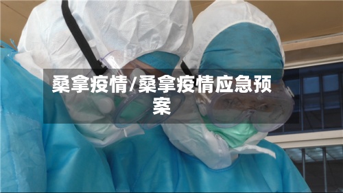 桑拿疫情/桑拿疫情应急预案