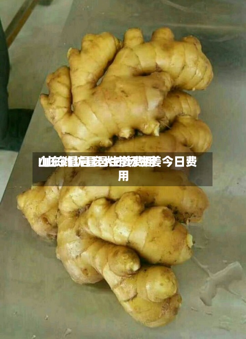 山东潍坊昌邑生姜费用
/山东昌邑宏大市场生姜今日费用