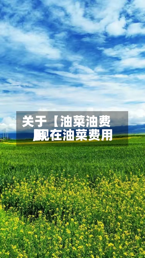 关于【油菜油费用,现在油菜费用】