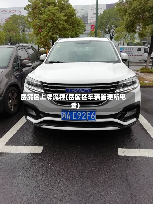 岳麓区上牌流程(岳麓区车辆管理所电话)