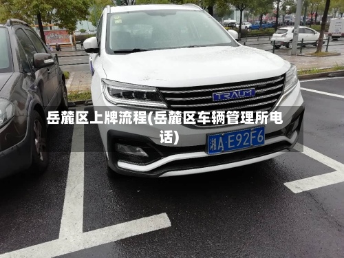 岳麓区上牌流程(岳麓区车辆管理所电话)-第3张图片