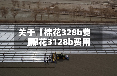 关于【棉花328b费用,棉花3128b费用】