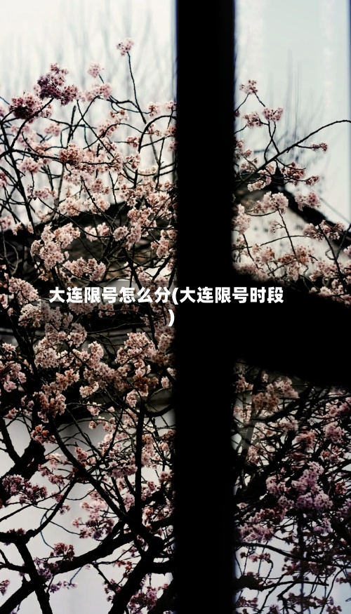 大连限号怎么分(大连限号时段)-第2张图片