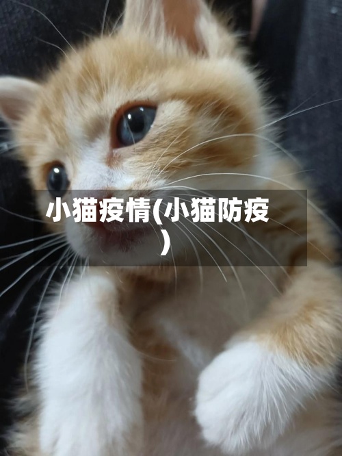 小猫疫情(小猫防疫)-第2张图片