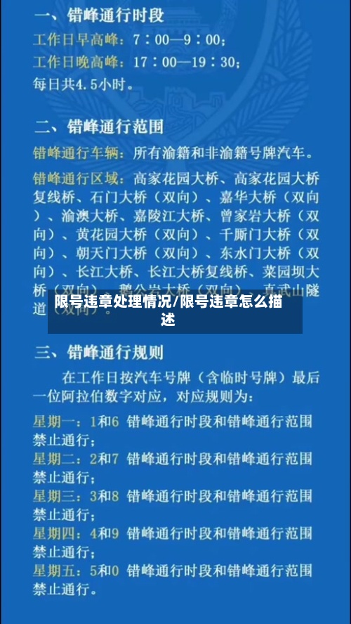 限号违章处理情况/限号违章怎么描述