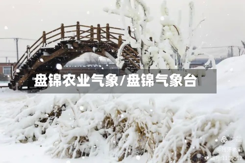 盘锦农业气象/盘锦气象台