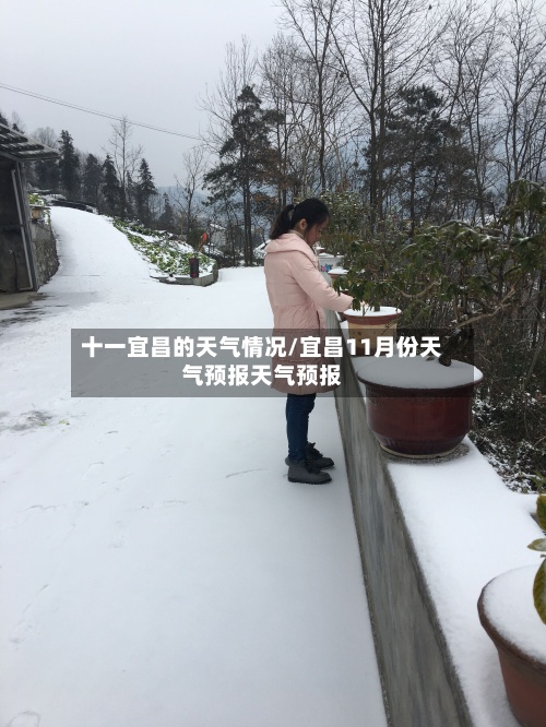 十一宜昌的天气情况/宜昌11月份天气预报天气预报-第2张图片