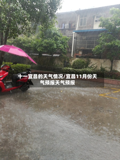 十一宜昌的天气情况/宜昌11月份天气预报天气预报