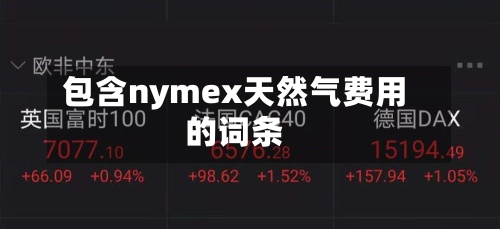 包含nymex天然气费用
的词条
