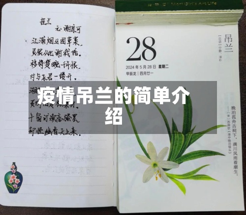 疫情吊兰的简单介绍