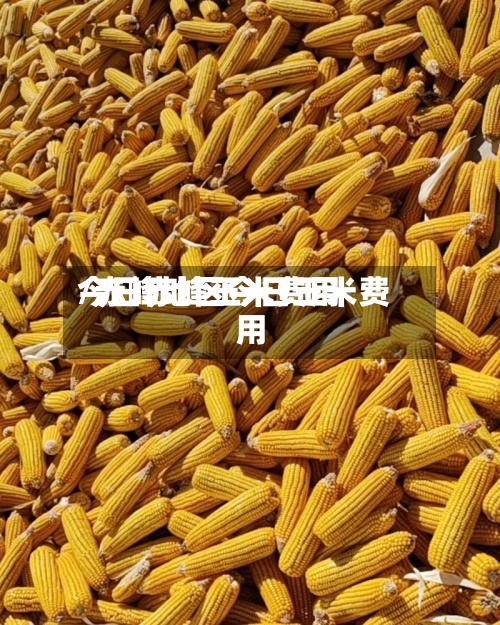 今日赤峰玉米费用
/赤峰地区今日玉米费用