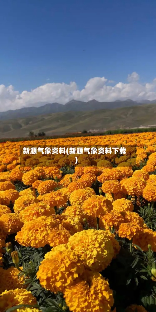 新源气象资料(新源气象资料下载)