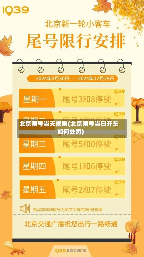 北京限号当天规则(北京限号当日开车如何处罚)-第2张图片