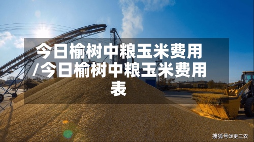 今日榆树中粮玉米费用/今日榆树中粮玉米费用表