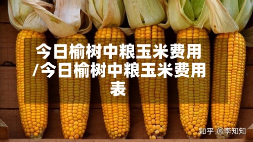 今日榆树中粮玉米费用
/今日榆树中粮玉米费用
表-第2张图片
