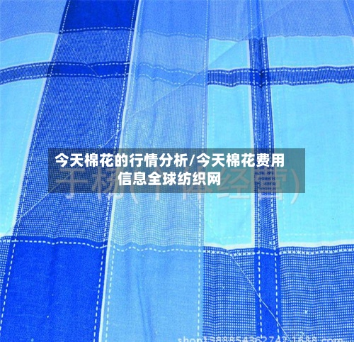 今天棉花的行情分析/今天棉花费用
信息全球纺织网