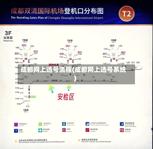 成都网上选号流程(成都网上选号系统)