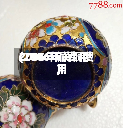 2006年铜费用
(2006年黄铜费用
)