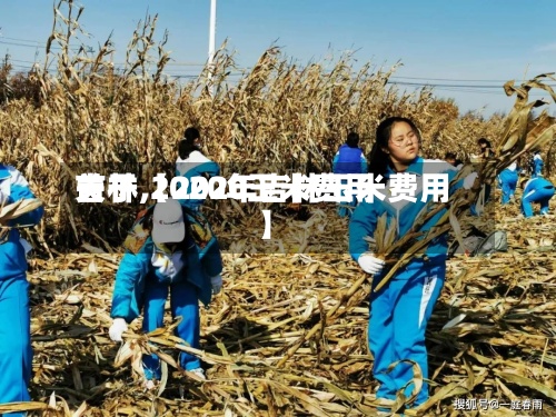 关于【2020玉米费用
吉林,2020年吉林玉米费用
】