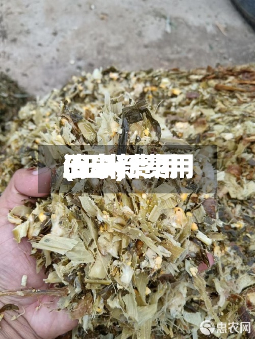 玉米新费用(玉米费用消息)-第3张图片