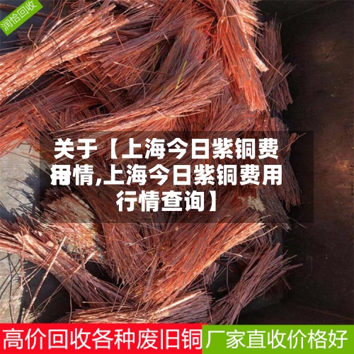 关于【上海今日紫铜费用行情,上海今日紫铜费用行情查询】