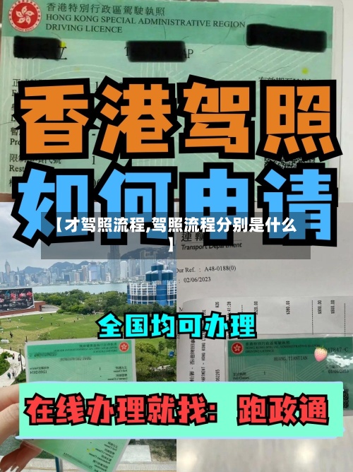 【才驾照流程,驾照流程分别是什么】-第2张图片