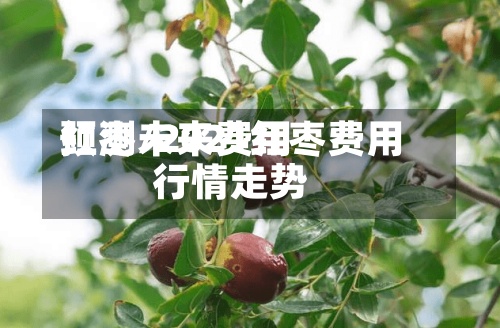 红枣未来费用
预测/2021红枣费用
行情走势-第2张图片