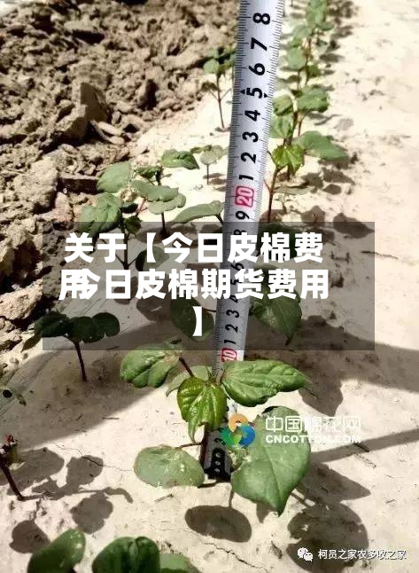 关于【今日皮棉费用
,今日皮棉期货费用
】