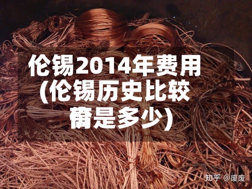 伦锡2014年费用
(伦锡历史比较高
价是多少)