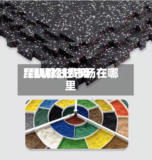 昆明橡胶费用
/昆明橡胶市场在哪里-第2张图片