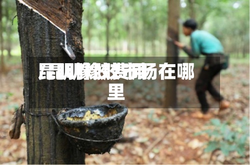 昆明橡胶费用
/昆明橡胶市场在哪里