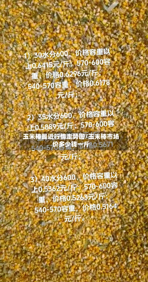 玉米棒最近行情走势图/玉米棒市场价多少钱一斤-第3张图片