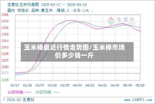 玉米棒最近行情走势图/玉米棒市场价多少钱一斤