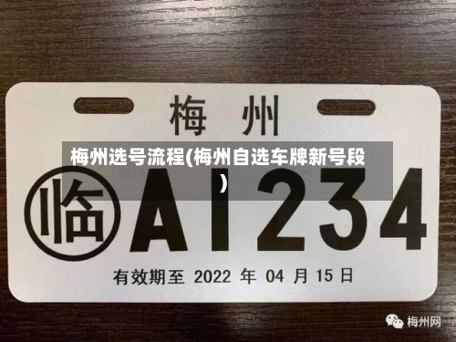 梅州选号流程(梅州自选车牌新号段)-第2张图片